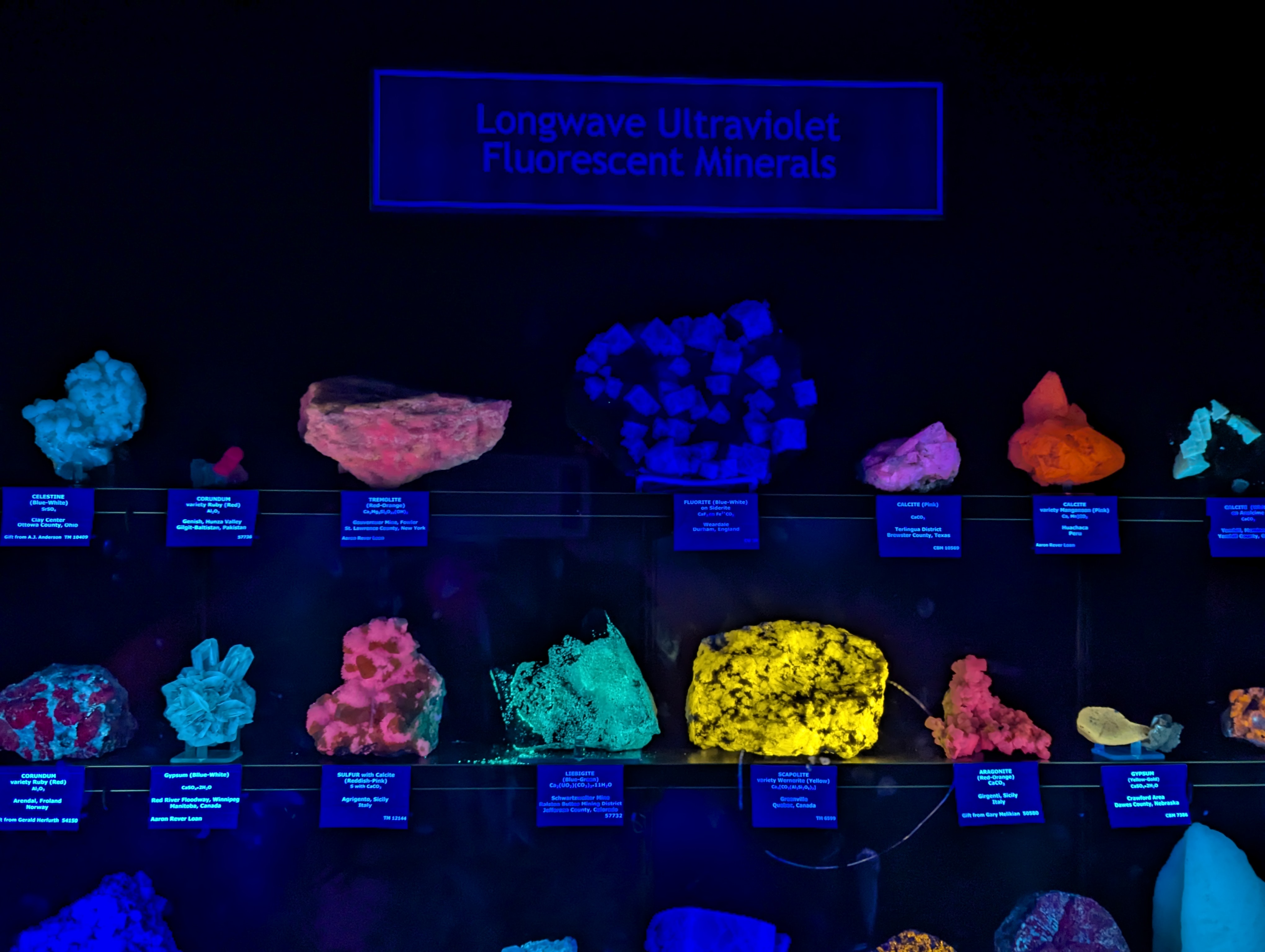 Colorado School of Mines, Geology Museum